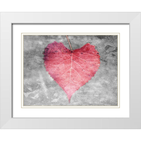 Love Leaves White Modern Wood Framed Art Print with Double Matting by Villa, Mlli