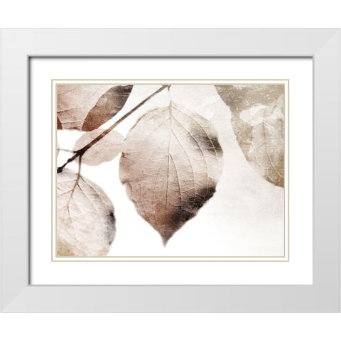 Soft Neutral Leaves White Modern Wood Framed Art Print with Double Matting by Villa, Mlli