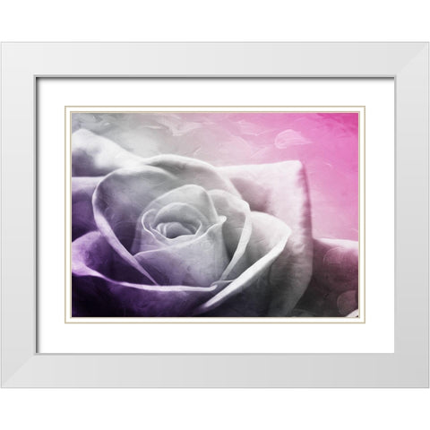 And Look At That Rose White Modern Wood Framed Art Print with Double Matting by Villa, Mlli