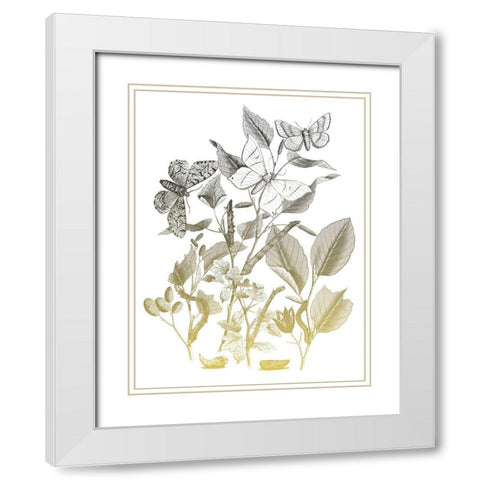 Flower and Bugs A White Modern Wood Framed Art Print with Double Matting by Villa, Mlli