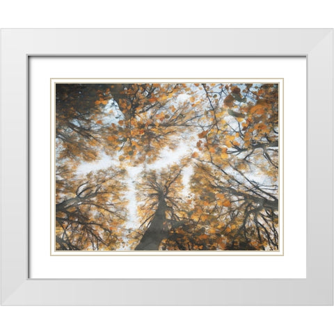 Look Up In The Forest White Modern Wood Framed Art Print with Double Matting by Villa, Mlli