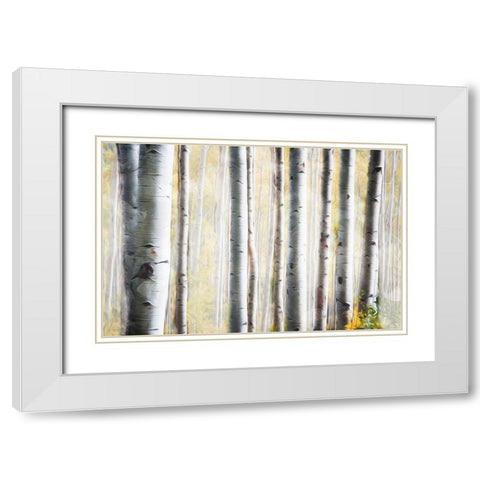 Birch Family White Modern Wood Framed Art Print with Double Matting by Villa, Mlli