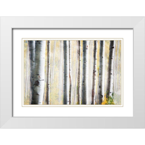 Birch Family White Modern Wood Framed Art Print with Double Matting by Villa, Mlli