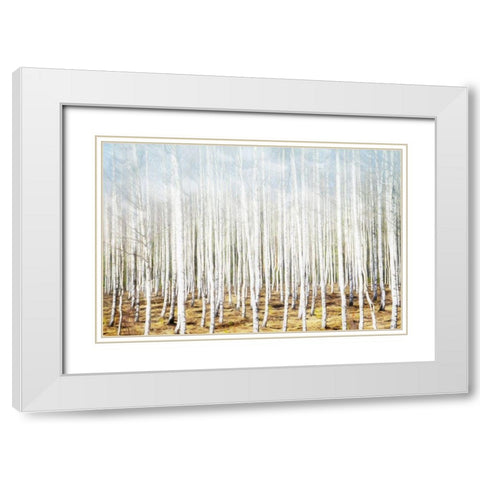 Birch In The Woods White Modern Wood Framed Art Print with Double Matting by Villa, Mlli