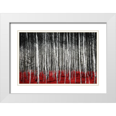 Birch In The Woods At Night White Modern Wood Framed Art Print with Double Matting by Villa, Mlli