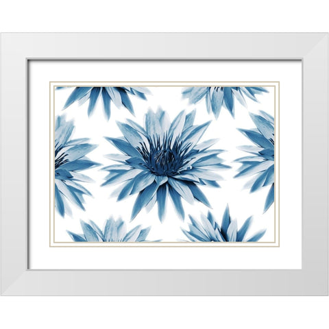 Hypnotizing Flowers White Modern Wood Framed Art Print with Double Matting by Villa, Mlli