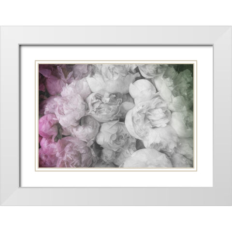 White to Pink Flowers White Modern Wood Framed Art Print with Double Matting by Villa, Milli