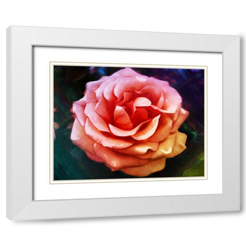 Bright Rose White Modern Wood Framed Art Print with Double Matting by Villa, Mlli
