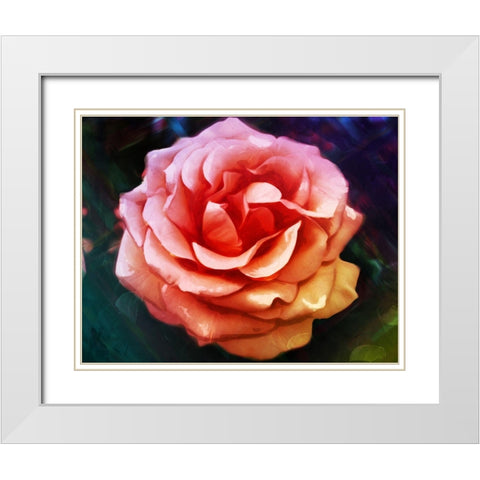 Bright Rose White Modern Wood Framed Art Print with Double Matting by Villa, Mlli