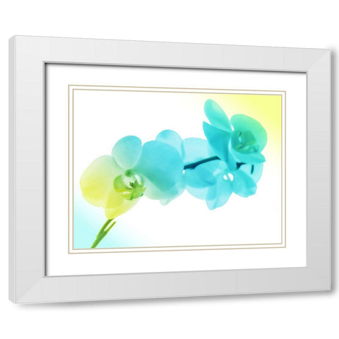 Electric Orchids 2 White Modern Wood Framed Art Print with Double Matting by Villa, Mlli