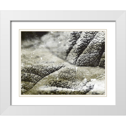 Charcoal Leaves White Modern Wood Framed Art Print with Double Matting by Villa, Mlli