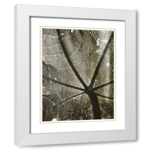 Leaf Umbrella White Modern Wood Framed Art Print with Double Matting by Villa, Mlli