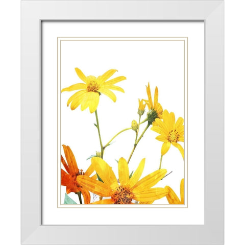 Vibrant Flowers White Modern Wood Framed Art Print with Double Matting by Villa, Mlli