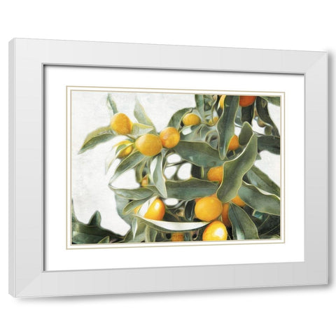 Lemons White Modern Wood Framed Art Print with Double Matting by Villa, Mlli