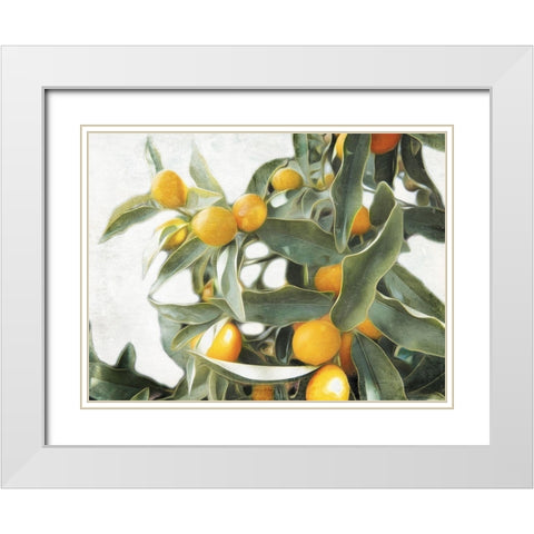 Lemons White Modern Wood Framed Art Print with Double Matting by Villa, Mlli