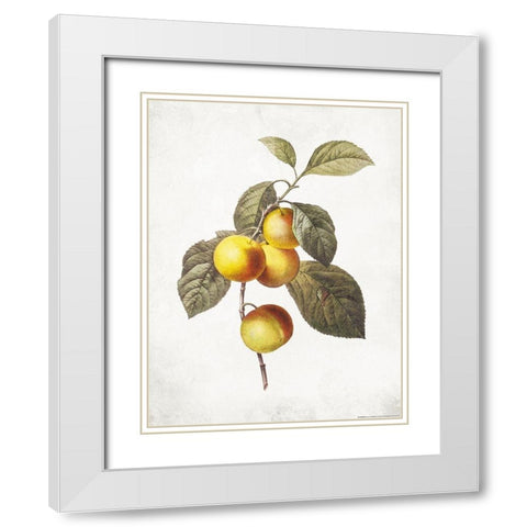 Less Lemons White Modern Wood Framed Art Print with Double Matting by Villa, Mlli