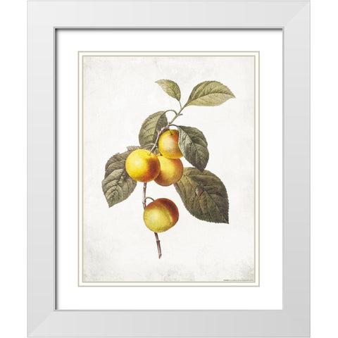 Less Lemons White Modern Wood Framed Art Print with Double Matting by Villa, Mlli