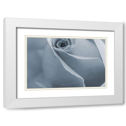 Look At Me White Modern Wood Framed Art Print with Double Matting by Villa, Mlli