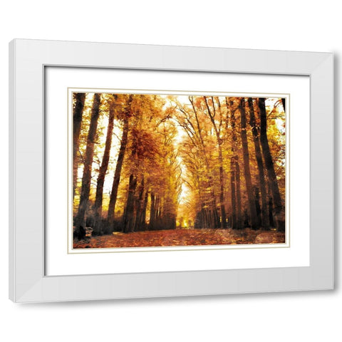 Fallow Your Path White Modern Wood Framed Art Print with Double Matting by Villa, Mlli