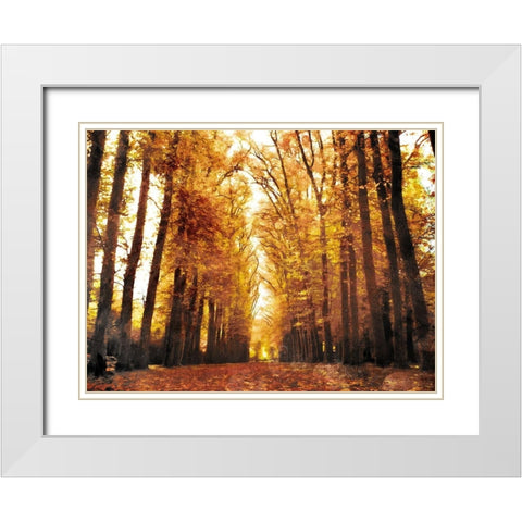 Fallow Your Path White Modern Wood Framed Art Print with Double Matting by Villa, Mlli