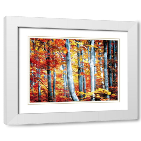 Fall Is Here White Modern Wood Framed Art Print with Double Matting by Villa, Mlli