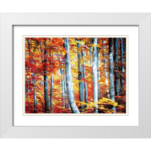 Fall Is Here White Modern Wood Framed Art Print with Double Matting by Villa, Mlli