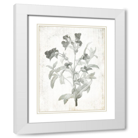 Soft Flowers On Wood White Modern Wood Framed Art Print with Double Matting by Villa, Mlli