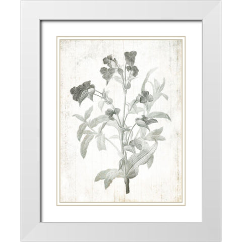 Soft Flowers On Wood White Modern Wood Framed Art Print with Double Matting by Villa, Mlli
