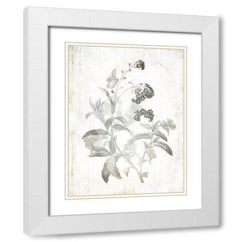 Soft Flowers On Wood Mate White Modern Wood Framed Art Print with Double Matting by Villa, Mlli
