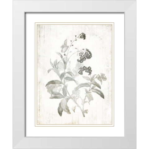 Soft Flowers On Wood Mate White Modern Wood Framed Art Print with Double Matting by Villa, Mlli