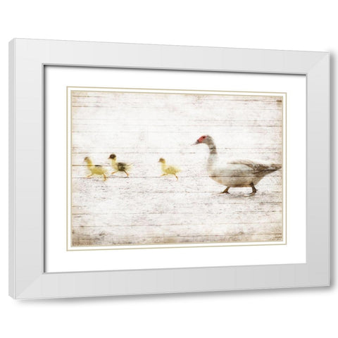 Duck Duck Duck White Modern Wood Framed Art Print with Double Matting by Villa, Mlli