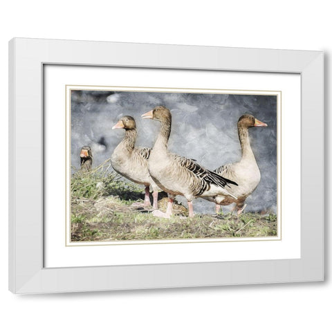 Goose Crew Too White Modern Wood Framed Art Print with Double Matting by Villa, Mlli