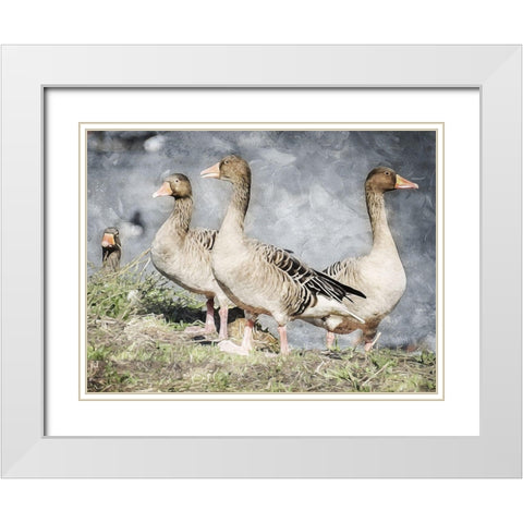 Goose Crew Too White Modern Wood Framed Art Print with Double Matting by Villa, Mlli