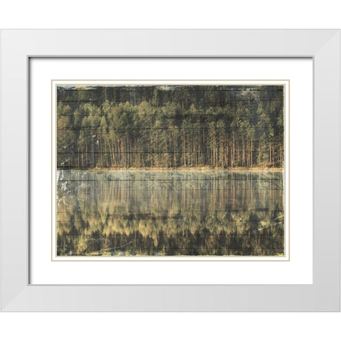 Through The Woods White Modern Wood Framed Art Print with Double Matting by Villa, Mlli