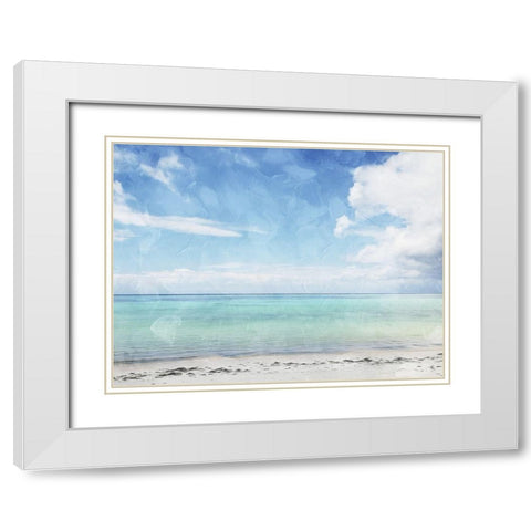 Sea Life White Modern Wood Framed Art Print with Double Matting by Villa, Mlli
