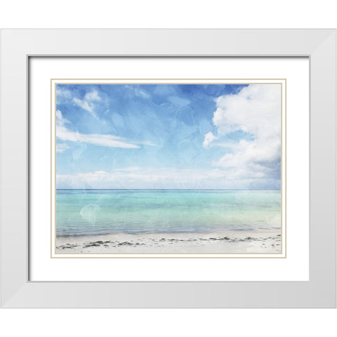 Sea Life White Modern Wood Framed Art Print with Double Matting by Villa, Mlli