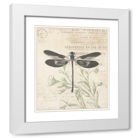 Lightened Vintage Insects White Modern Wood Framed Art Print with Double Matting by Villa, Mlli