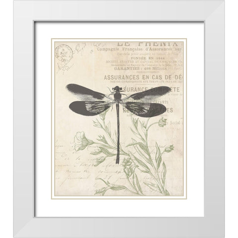 Lightened Vintage Insects White Modern Wood Framed Art Print with Double Matting by Villa, Mlli