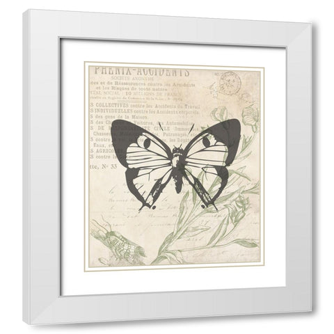 Lightened Vintage Insects Two White Modern Wood Framed Art Print with Double Matting by Villa, Mlli