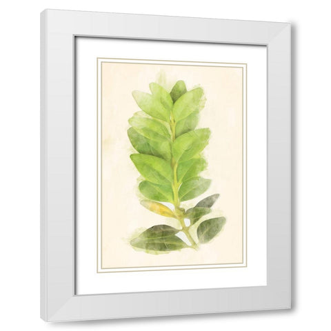 Green Leaves White Modern Wood Framed Art Print with Double Matting by Villa, Mlli