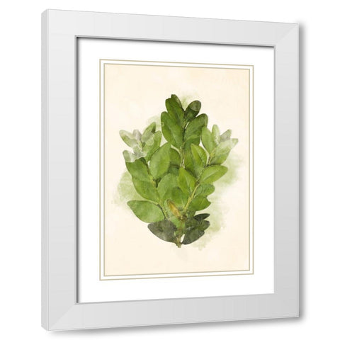 More Green Leaves Mate White Modern Wood Framed Art Print with Double Matting by Villa, Mlli