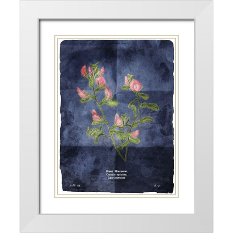 Flower Page Blue White Modern Wood Framed Art Print with Double Matting by Villa, Mlli