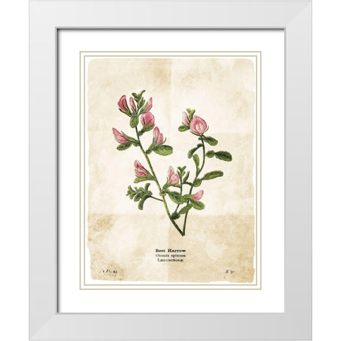 Flower Page White Modern Wood Framed Art Print with Double Matting by Villa, Mlli