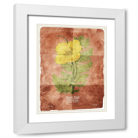 Flower Page Two Brown White Modern Wood Framed Art Print with Double Matting by Villa, Mlli