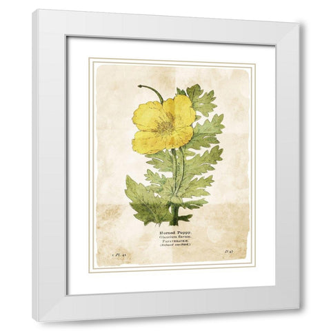 Flower Page Two White Modern Wood Framed Art Print with Double Matting by Villa, Mlli