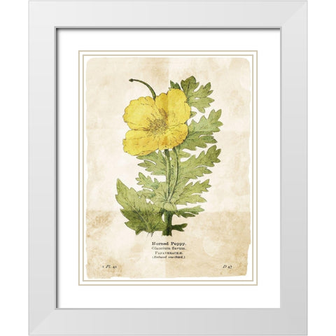 Flower Page Two White Modern Wood Framed Art Print with Double Matting by Villa, Mlli