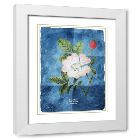 Flower Page Three Blue White Modern Wood Framed Art Print with Double Matting by Villa, Mlli