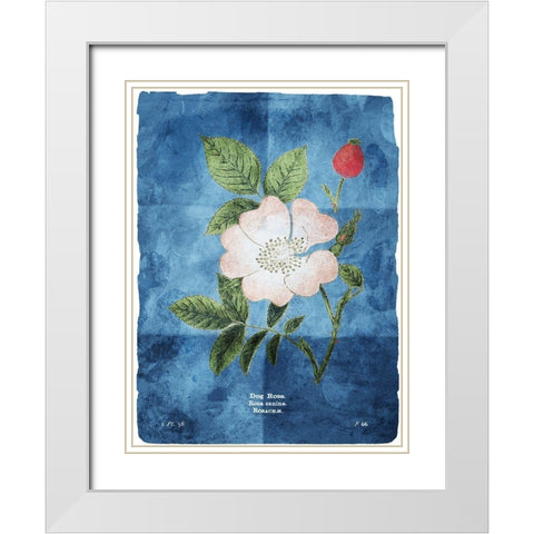 Flower Page Three Blue White Modern Wood Framed Art Print with Double Matting by Villa, Mlli