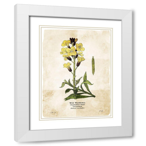 Flower Page Four White Modern Wood Framed Art Print with Double Matting by Villa, Mlli