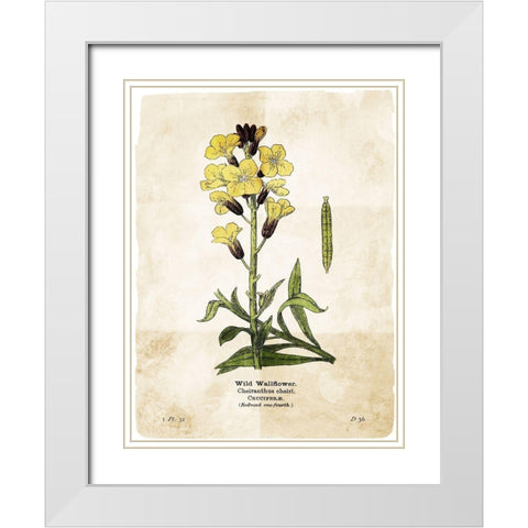 Flower Page Four White Modern Wood Framed Art Print with Double Matting by Villa, Mlli